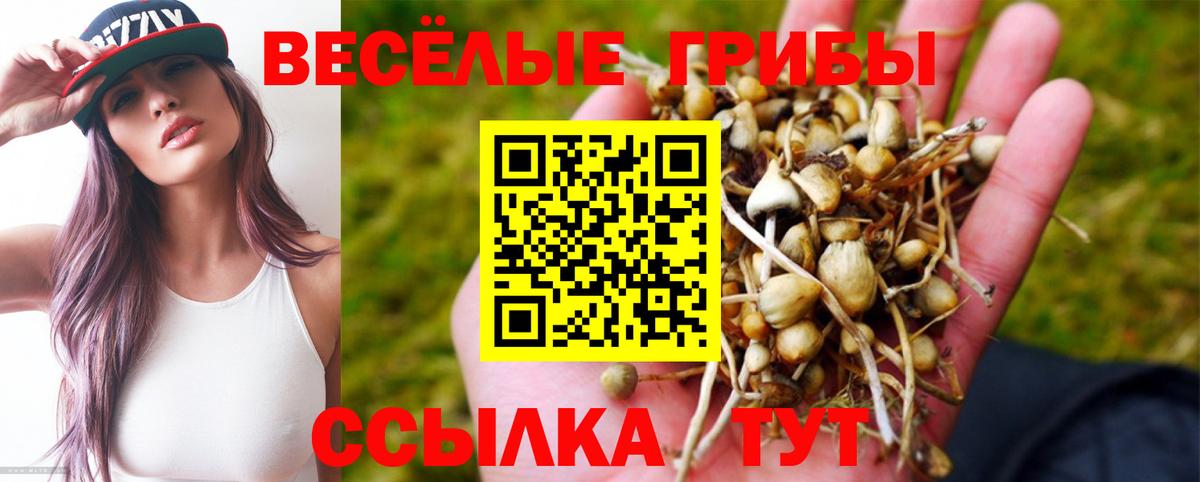 Псилоцибиновые грибы мухоморы  Вход с VPN  Галлюциногенные грибы мицелий  Серпухов 